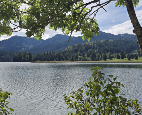 436 Spitzingsee